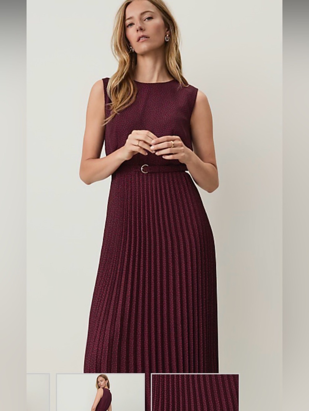 Ann Taylor Burgundy Sleeveless Pleated Maxi Dress